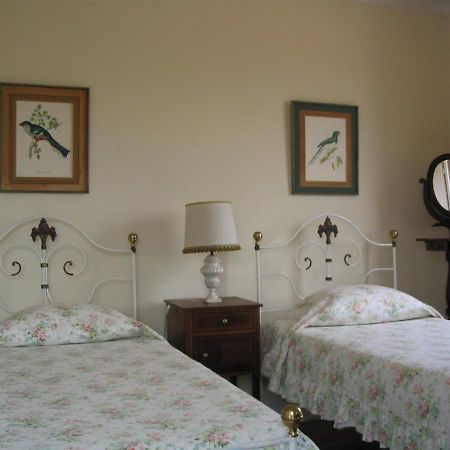 Casa De Sao Joao Apartment Viana do Castelo Ngoại thất bức ảnh