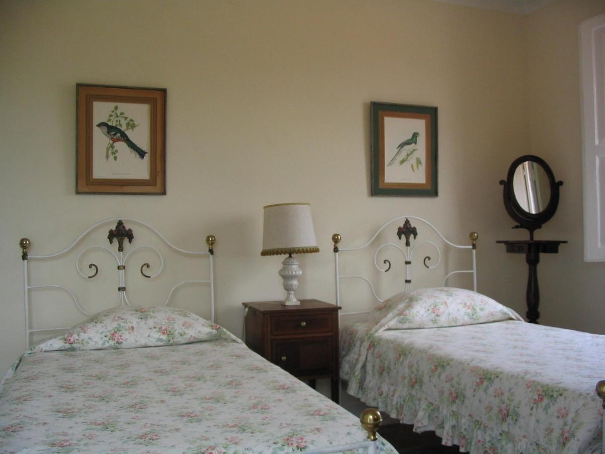 Casa De Sao Joao Apartment Viana do Castelo Ngoại thất bức ảnh